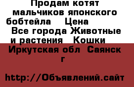 Продам котят мальчиков японского бобтейла. › Цена ­ 30 000 - Все города Животные и растения » Кошки   . Иркутская обл.,Саянск г.